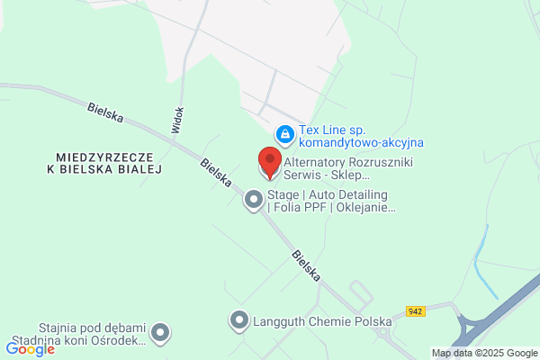 Osinski Stanislaw. Alternatory i rozruszniki
