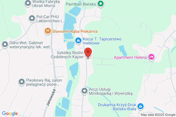 Szkólka krzewów ozdobnych