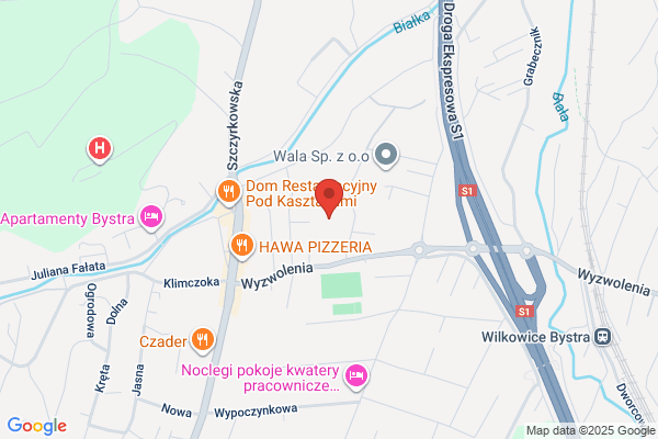 Dylinski J. Lecznica dla zwierzat