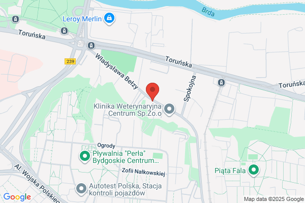 Ars-Alarm. Zabezpieczenia pojazdów