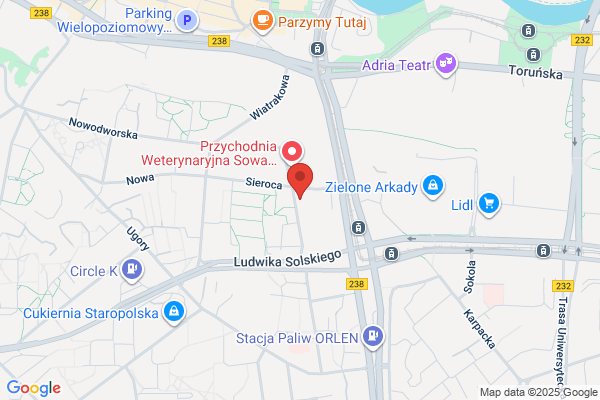 Lutkowska Halina. Biuro bieglego rewidenta