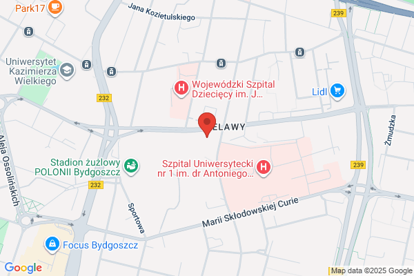 Bank Zachodni WBK SA. 2 Oddzial