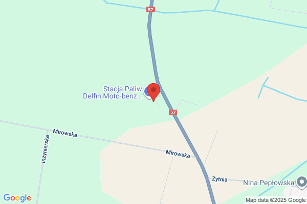 Delfin. Bar. Kolat J.