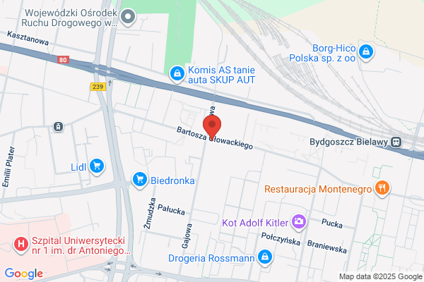 Frytoland. Bar