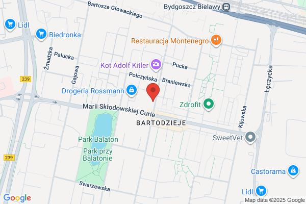 Matis. Bar. Tryniszewski S.