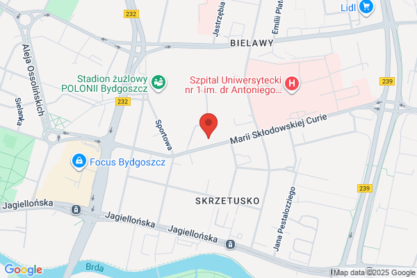 Miedzynarodowe Studium Turystyki i Kultury