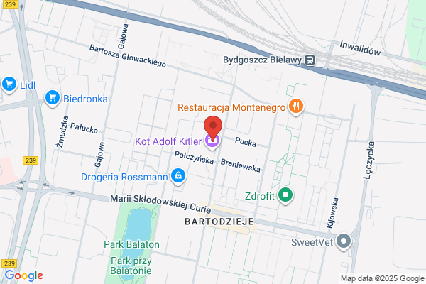 Arial. Biuro projektów