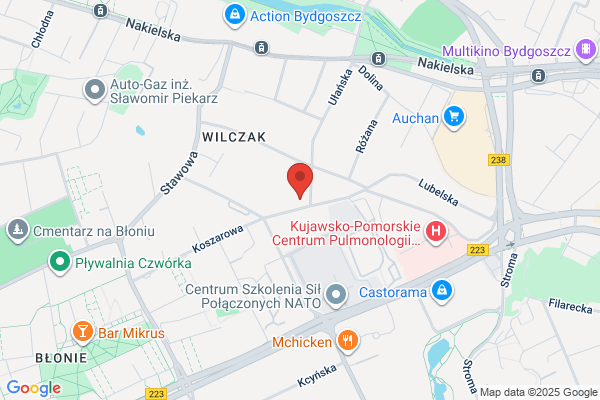 SCW. Witucki S.