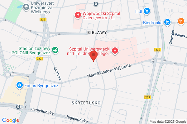 Cyklinowanie Bydgoszcz Andrzej Paszkowski