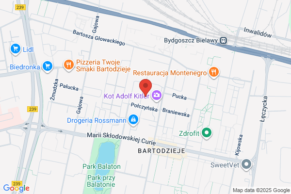 Andrearczyk Jerzy. Uslugi remontowo - budowlane