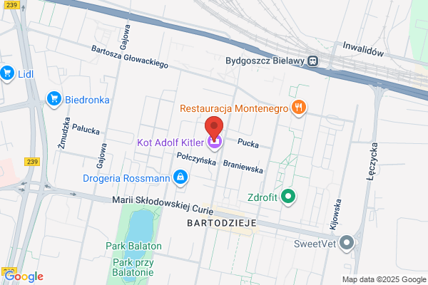 Monter. Kompleksowa Obsluga i Modernizacja Wezlów Cieplnych. Felczykowski F.