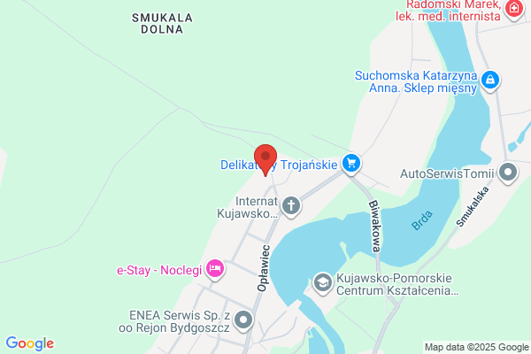 Nikar. Dezynfekcja, dezynsekcja, deratyzacja