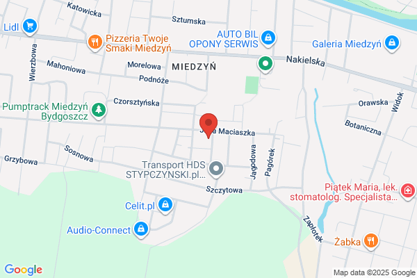Piniarski Marian. Nadruki na odziezy