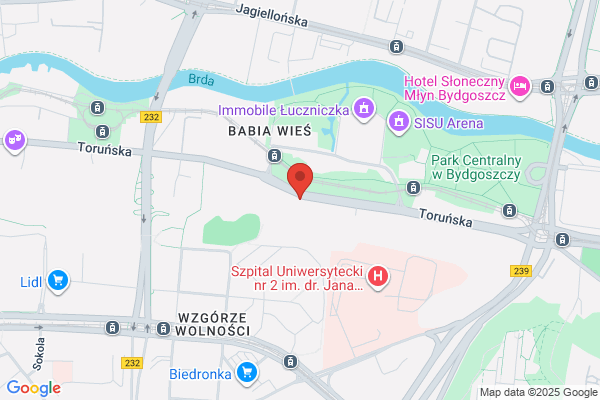 Baga