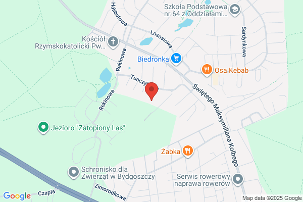 Zmijewski Zenon. Uslugi dzwigowe