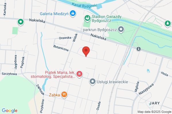 Cyganski Adam. Zaklad elektroniczny