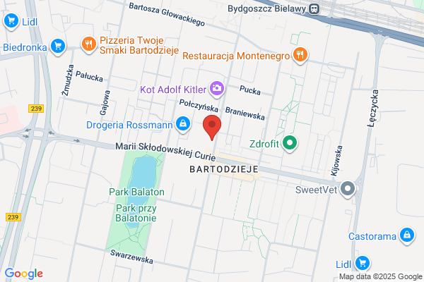 Elektrop. Art. elektryczne. Niezgoda Z.