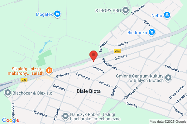 Wizard. Kotly gazowe i olejowe, instalacje grzewcze