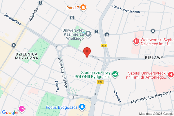 Viki. Posrednictwo finansowe. Malczewska-Konieczna R.