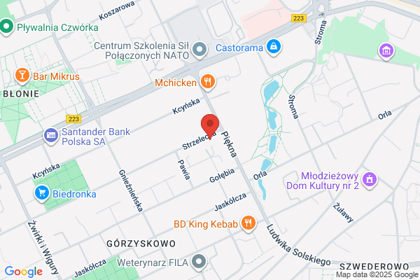 Studio Fitness. Falkowska A.