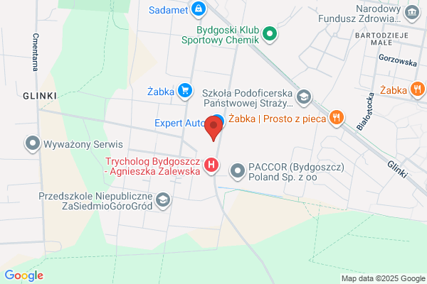 A-Z. Dziedzic W.