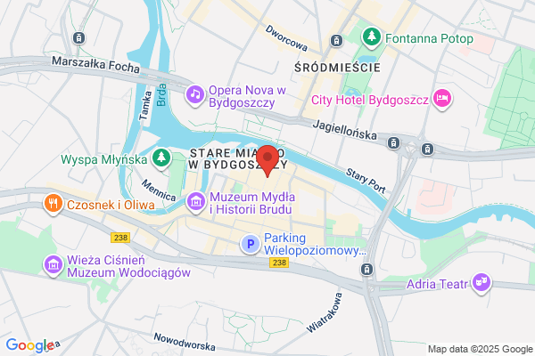 Kwiaciarnia bydgoszcz | bloomi