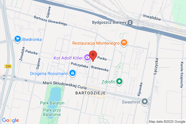 Ajk Serwis. Oprogramowanie komputerowe