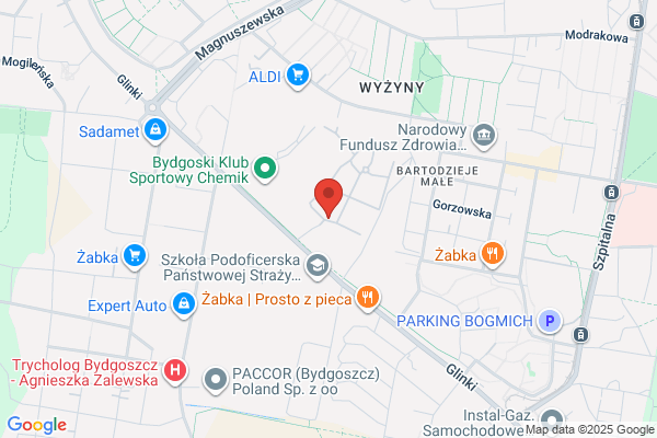 Intexim. Business Consulting. Derecki P.