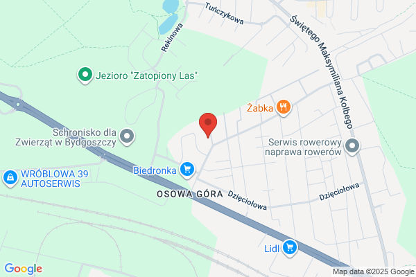 Krys-Pin. Baranowicz K.