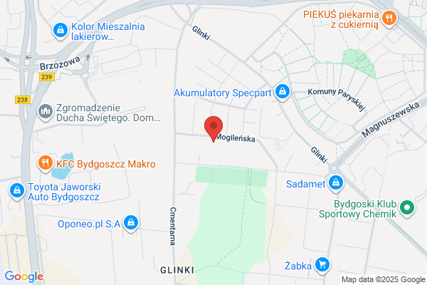 Polbim Consulting SC. Przedsiebiorstwo konsultingowe. Plesniak B.M.
