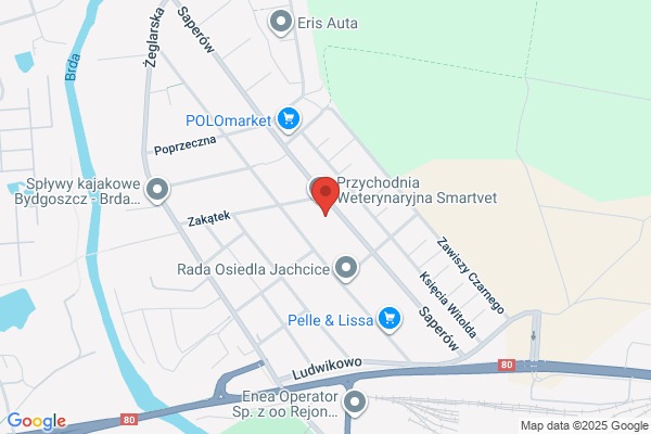 Swiatlosc. Ksiegarnia. Badura H.