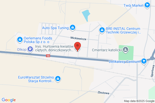 Irys. Hurtownia kwiatów, art. dekoracyjne, upominki