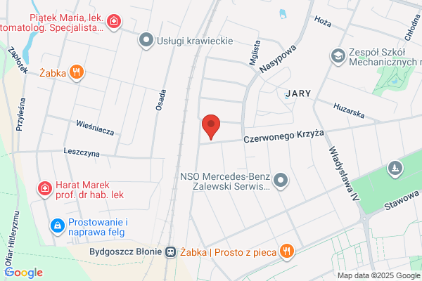 Kaliski Tadeusz. Produkcja kwiatów cietych i doniczkowych