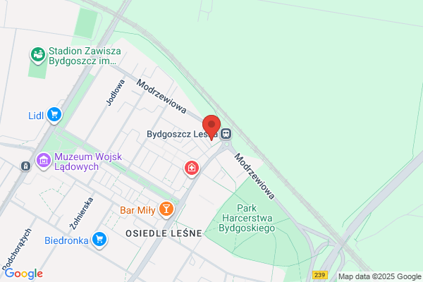 Walasek Lech, prof. dr hab. nauk med. Spec. chorób wewn. Gabinet