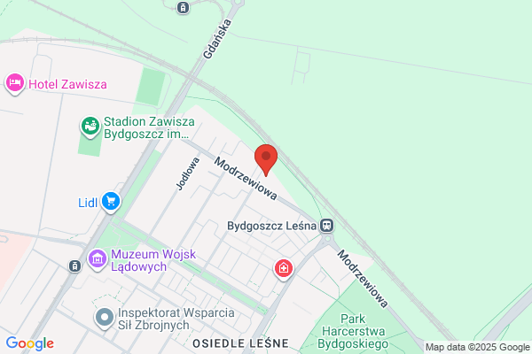 Kaluzny Józef, prof. dr hab. nauk med.