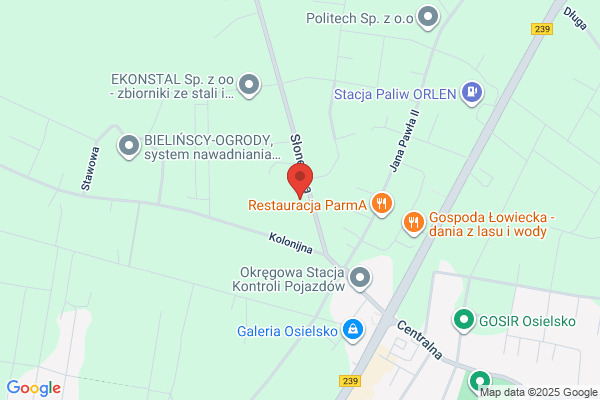 Czerwionka-Szaflarska Mieczyslawa, prof. dr hab. nauk med. Spec. chorób dzieci, alergologii, gastroenterologii