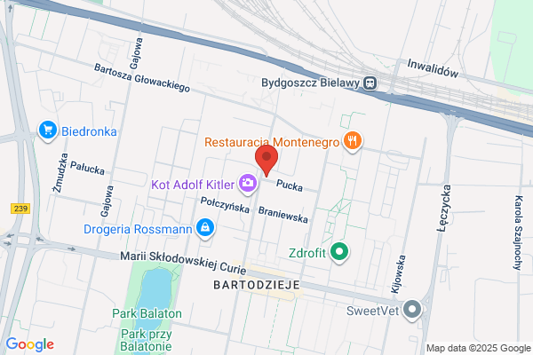 Bart-Dental SC. Centrum stomatologii