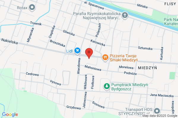 Strzalkowska Bogumila. Magiel elektryczny
