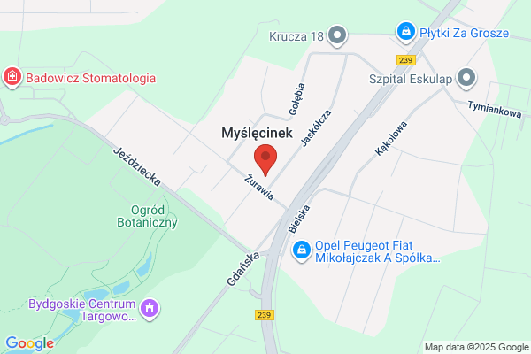 Pilion. Zespól muzyczny