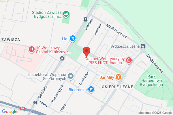 Pegaz. Szkola jazdy. Topolska A.