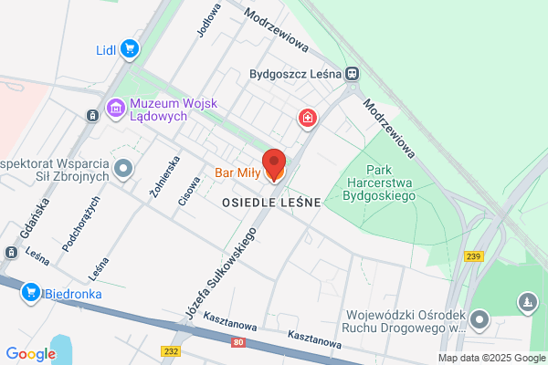Pantofelek. S.j. FH. Kaminska B., Zakrzewski K.
