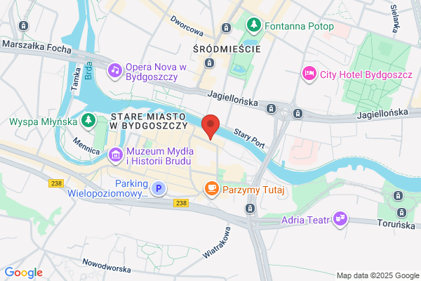 Servo. Ochrona osób i mienia