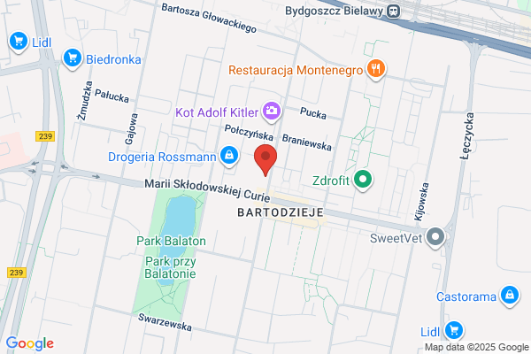 Gracja. Sklep z odzieza o duzych rozmiarach