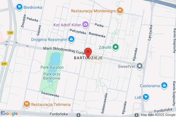 Promyczek. Sklep odziezowy. Miedzinska M.