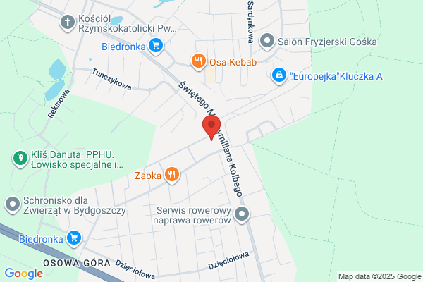 Ciesinska Joanna. Zaklad optyczny