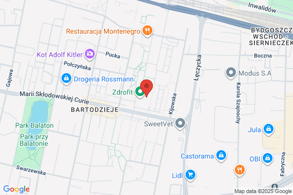 Przybyszewski Daniel. Zaklad optyczny