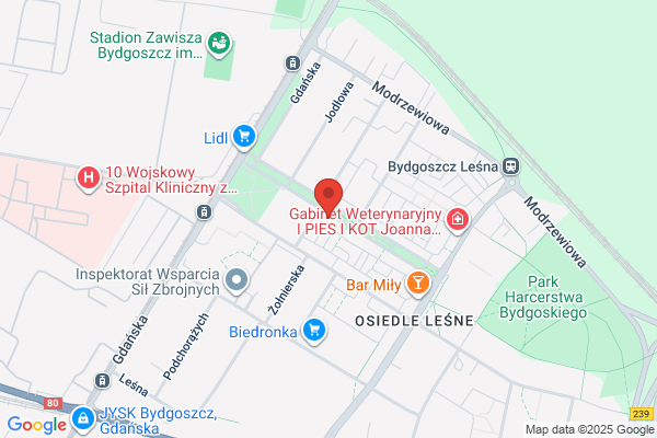 Radzinski Jan. Salon optyczny