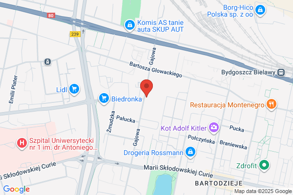Gackowski Ryszard. Parking strzezony