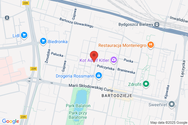 Krasnicka Anna. Parking strzezony