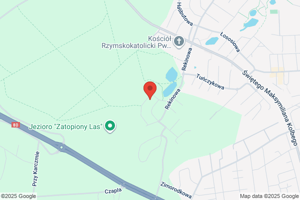 Ekovit Bis. Szynka M.